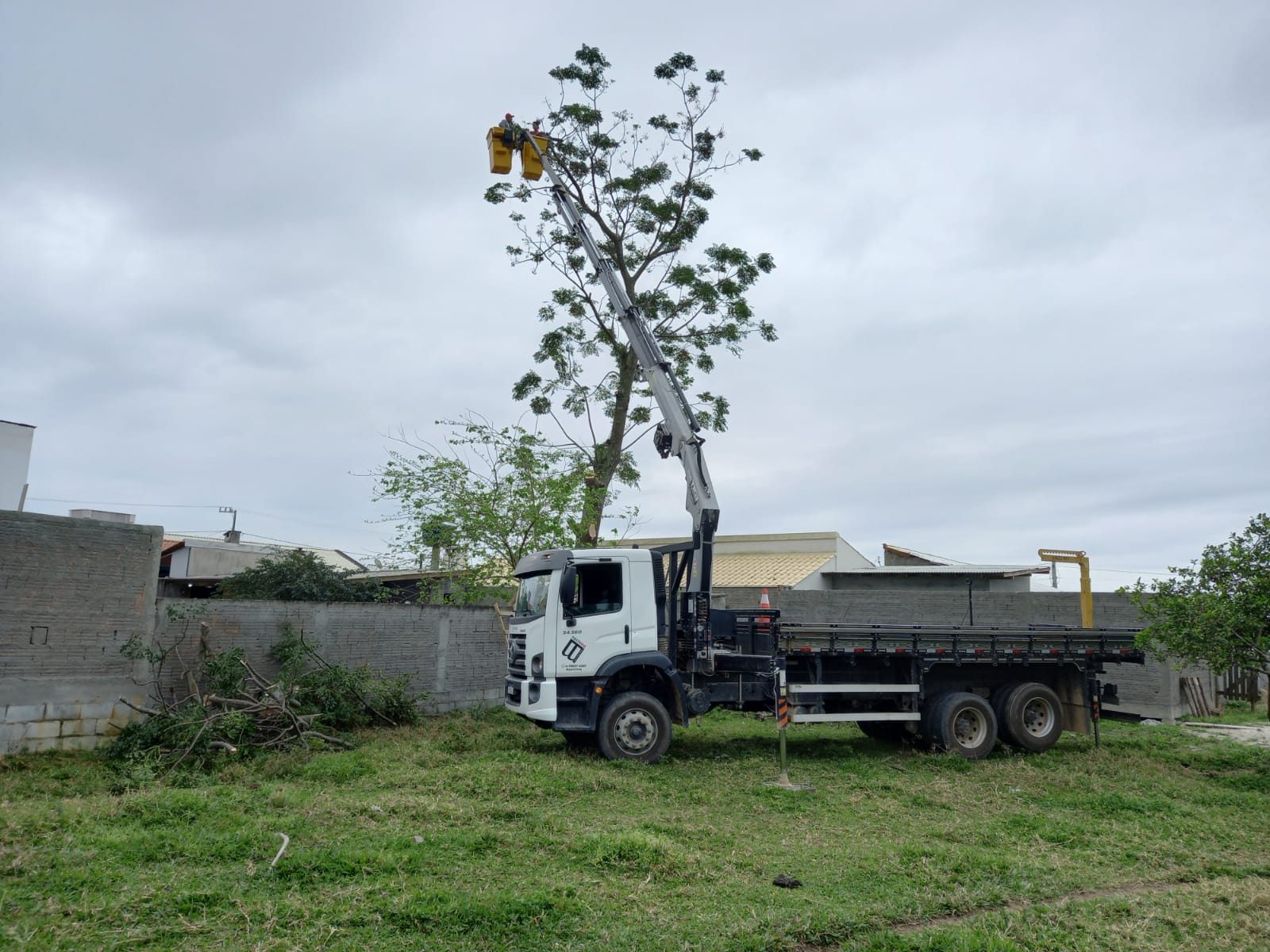 Cesto aéreo e munck no transplante de uma árvore